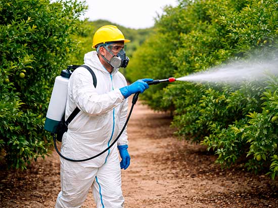 Nivel Básico en uso de Productos Fitosanitarios